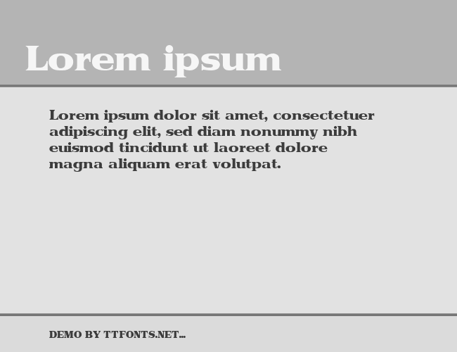 ToriiDisplaySSK example
