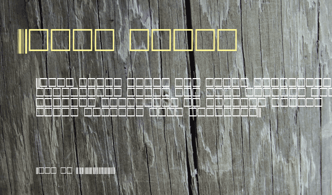 SKANDEMO C39 example