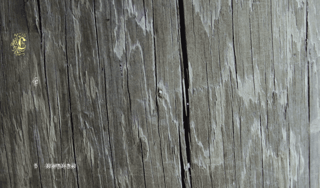 Foliar Initials example
