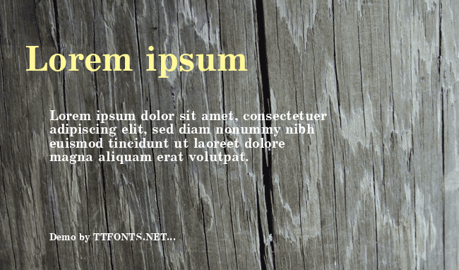School example