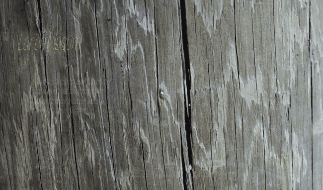 Tall Films Fine Oblique example