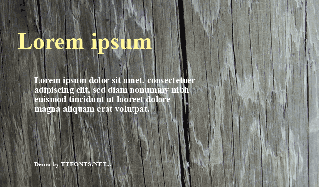 Times New Roman KOI8 example