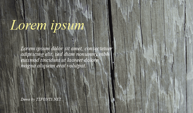 Times New Roman KOI8 example