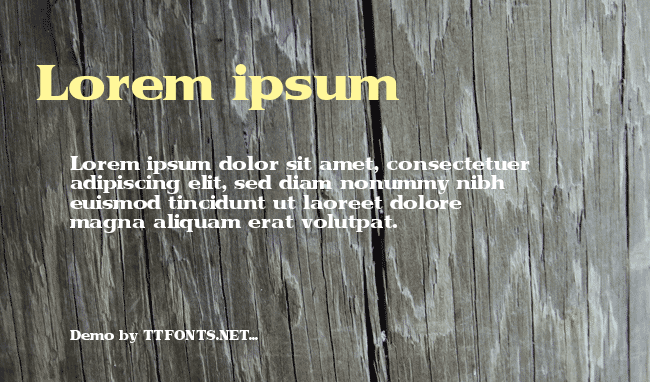 ToriiDisplaySSK example