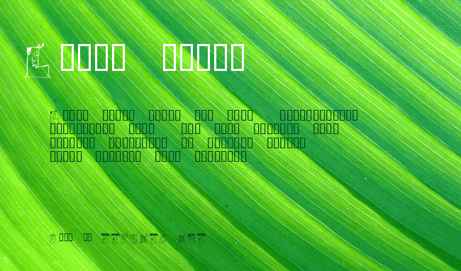 101! PictoBet example