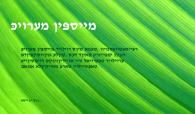 Ain Yiddishe Font-Modern example