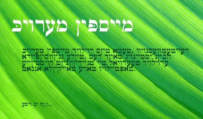 Ain Yiddishe Font-Traditional example