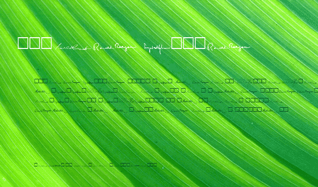 American Presidents SAMPLE example