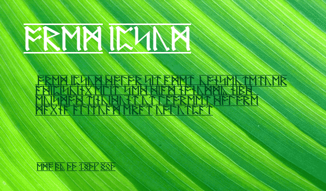 AngloSaxon Runes-1 example