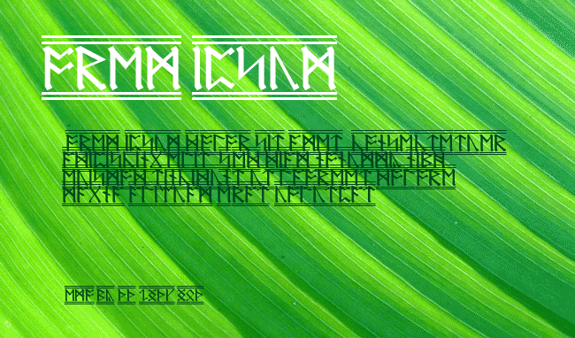 AngloSaxon Runes-2 example