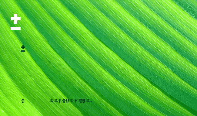 BOBCO6 example