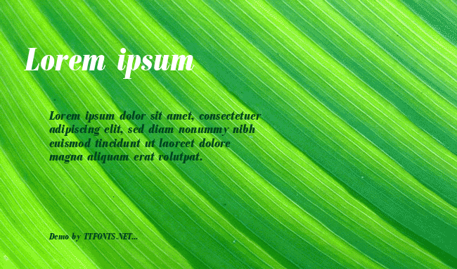 BodoniAntTCon example