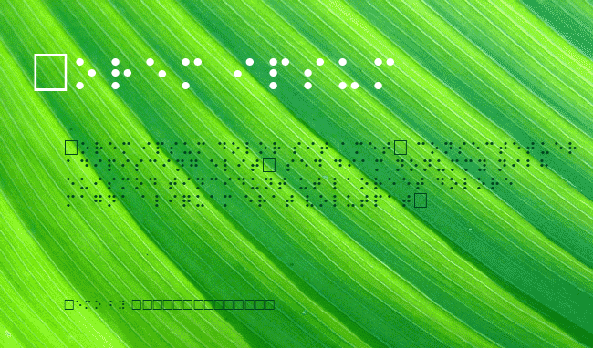 Braille example