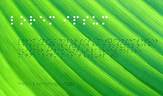 Braille example