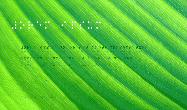 BRAILLE_ example