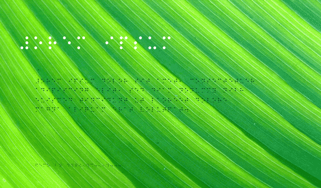 BraillePlainHC example