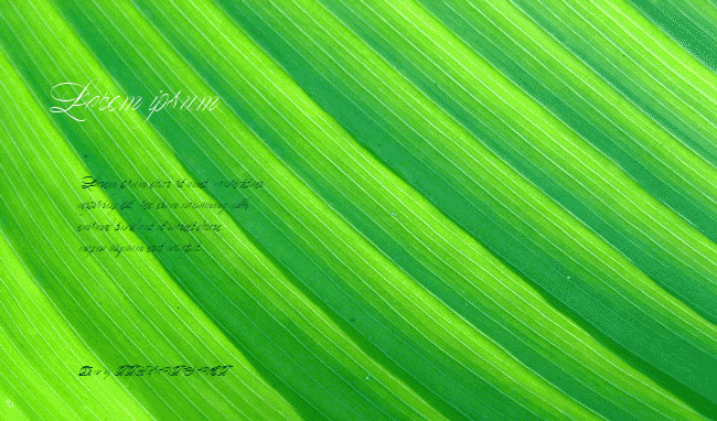 Butterfly example