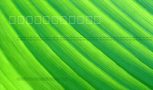 Carr Electronic Dingbats example