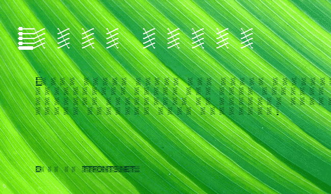 Chloriin example