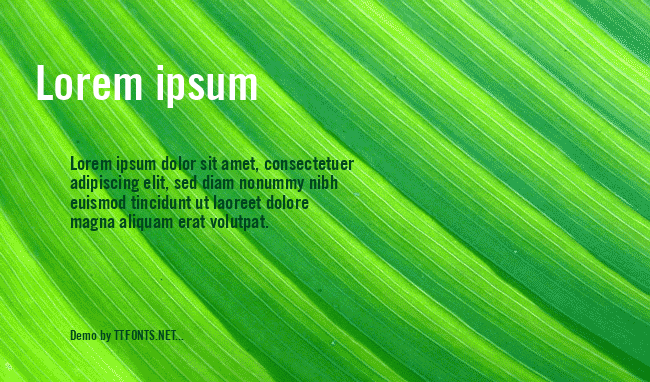 Commerce Condensed SSi example