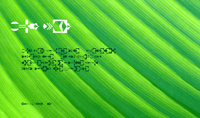 CreativeArrows LT Four example