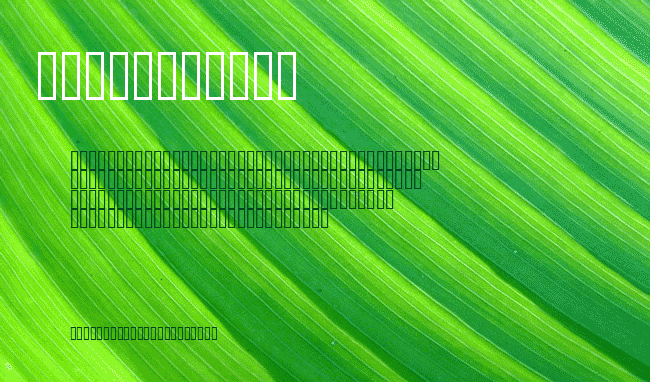 Decibel Dingbats example