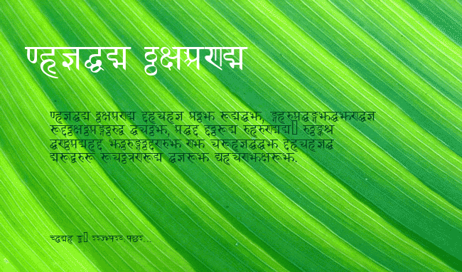 DevanagariDelhiSSK example