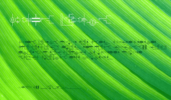 DexisDingbatsSixSSK example