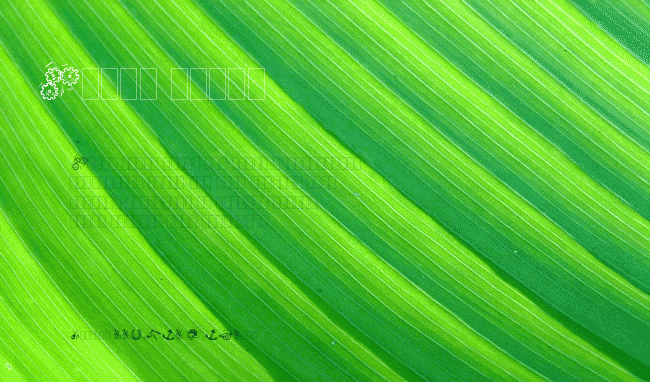 DF Organics IIB LET example