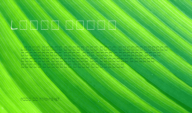 Dibs Display Caps Light SSi example