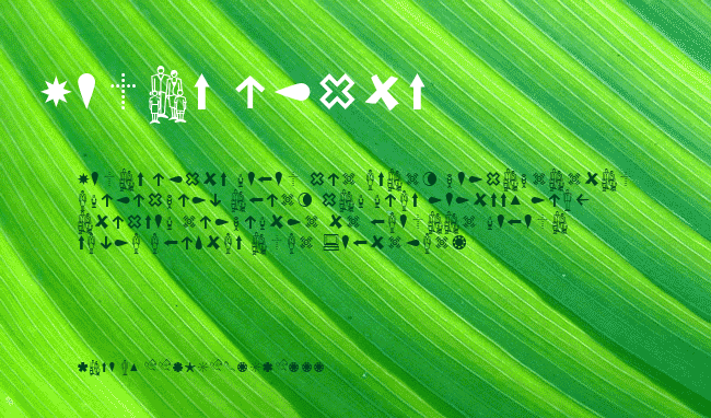 Dingbests example