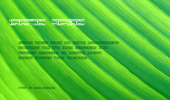 Entangled Layer B (BRK) example