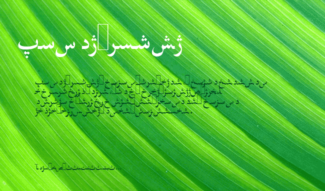 Farsi 1.1 example