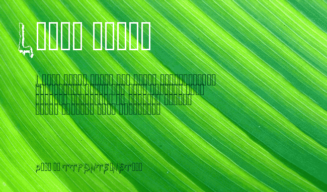 Grossout Shadow example