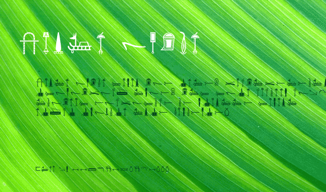 HieroglyphI example
