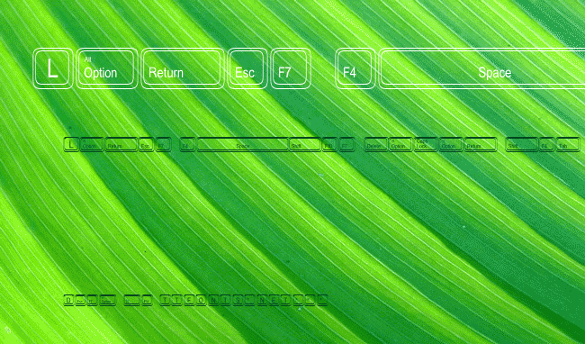 Keystrokes MT example