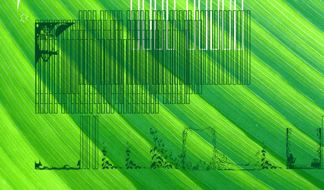 LM Nature Borders example