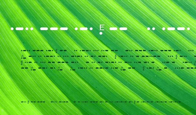 Match Morse (Shareware) example