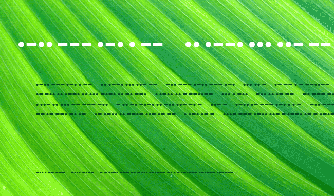 Morse example