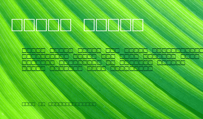 OCR-B-Digits example