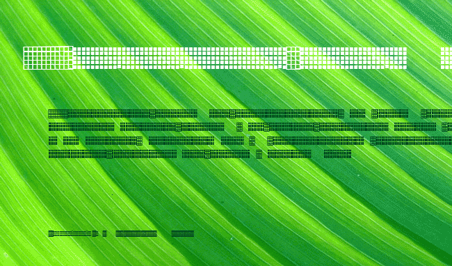 Pica Hole - Grids example