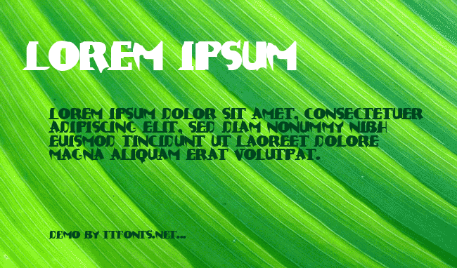 Praegnant example