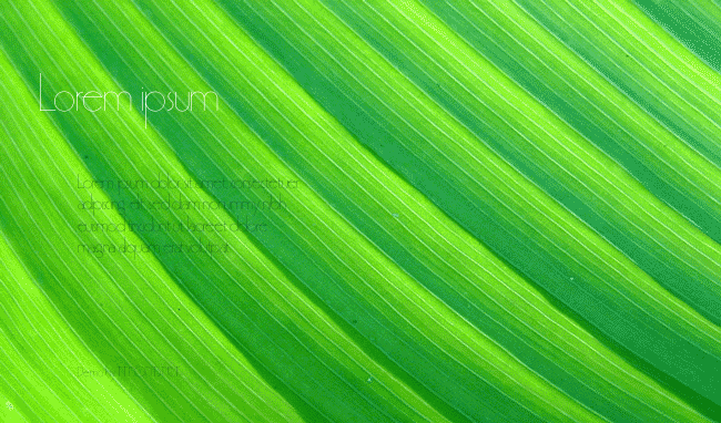 PremiumThin example