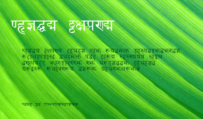 Sanskrit example