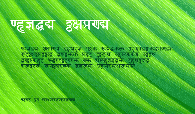 Sanskrit example