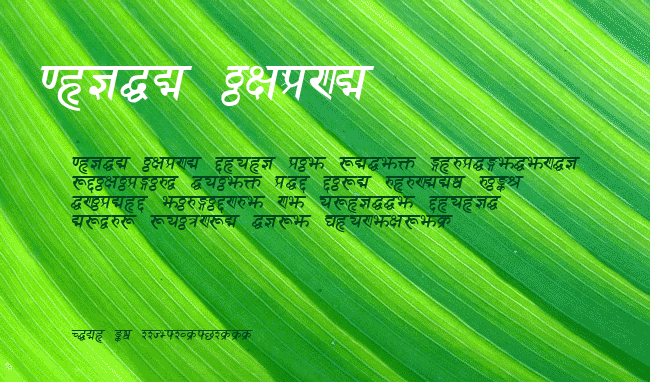Sanskrit example