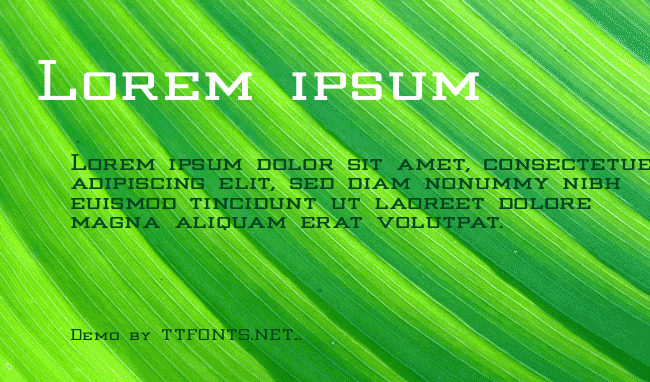 Strongman_Bold- example