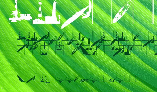 Surf Bat (Windsurfing Dingbats) example