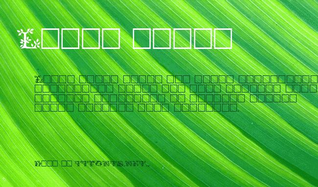 Tenderleaf example