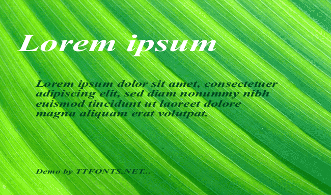 Times Roman Ex bold italic example